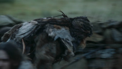 extant_GameOfThrones_3x09-TheRainsOfCastamere_1539