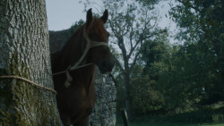 extant_GameOfThrones_3x09-TheRainsOfCastamere_1689