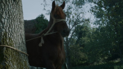 extant_GameOfThrones_3x09-TheRainsOfCastamere_1690