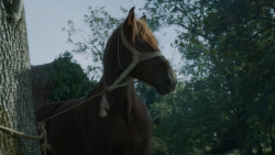 extant_GameOfThrones_3x09-TheRainsOfCastamere_1691