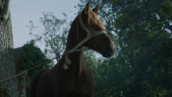extant_GameOfThrones_3x09-TheRainsOfCastamere_1692