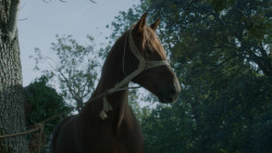 extant_GameOfThrones_3x09-TheRainsOfCastamere_1693