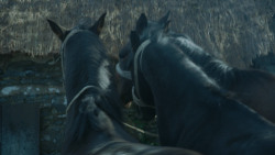 extant_GameOfThrones_3x09-TheRainsOfCastamere_1695