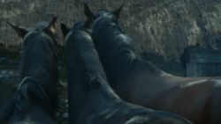 extant_GameOfThrones_3x09-TheRainsOfCastamere_1697