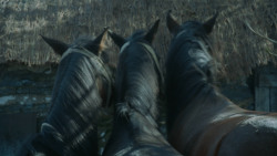 extant_GameOfThrones_3x09-TheRainsOfCastamere_1698
