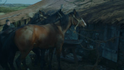 extant_GameOfThrones_3x09-TheRainsOfCastamere_1703