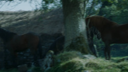 extant_GameOfThrones_3x09-TheRainsOfCastamere_1729