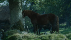 extant_GameOfThrones_3x09-TheRainsOfCastamere_1730
