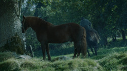 extant_GameOfThrones_3x09-TheRainsOfCastamere_1731