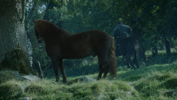 extant_GameOfThrones_3x09-TheRainsOfCastamere_1732