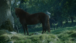 extant_GameOfThrones_3x09-TheRainsOfCastamere_1733