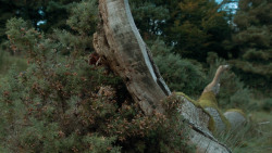 extant_GameOfThrones_3x09-TheRainsOfCastamere_1745