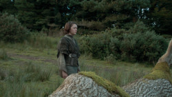 extant_GameOfThrones_3x09-TheRainsOfCastamere_1754