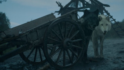 extant_GameOfThrones_3x09-TheRainsOfCastamere_2401