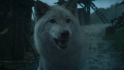 extant_GameOfThrones_3x09-TheRainsOfCastamere_2662