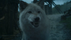 extant_GameOfThrones_3x09-TheRainsOfCastamere_2663