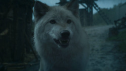 extant_GameOfThrones_3x09-TheRainsOfCastamere_2664