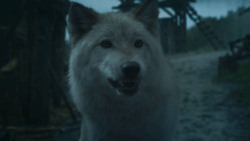 extant_GameOfThrones_3x09-TheRainsOfCastamere_2665