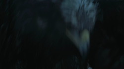 extant_GameOfThrones_3x09-TheRainsOfCastamere_2712