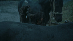 extant_GameOfThrones_3x09-TheRainsOfCastamere_2738