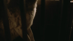 extant_GameOfThrones_3x09-TheRainsOfCastamere_4476
