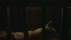 extant_GameOfThrones_3x09-TheRainsOfCastamere_4477