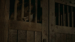 extant_GameOfThrones_3x09-TheRainsOfCastamere_4813