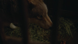 extant_GameOfThrones_3x09-TheRainsOfCastamere_4827