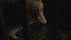 extant_GameOfThrones_3x09-TheRainsOfCastamere_4828