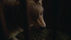 extant_GameOfThrones_3x09-TheRainsOfCastamere_4829