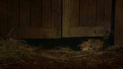 extant_GameOfThrones_3x09-TheRainsOfCastamere_4855
