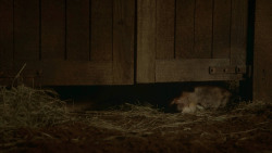 extant_GameOfThrones_3x09-TheRainsOfCastamere_4857