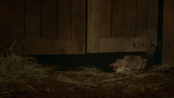 extant_GameOfThrones_3x09-TheRainsOfCastamere_4858