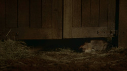 extant_GameOfThrones_3x09-TheRainsOfCastamere_4859