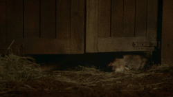 extant_GameOfThrones_3x09-TheRainsOfCastamere_4860