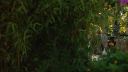 extant_GameOfThrones_3x10-Mhysa_0169