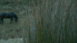 extant_GameOfThrones_3x10-Mhysa_4299