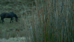 extant_GameOfThrones_3x10-Mhysa_4300