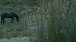 extant_GameOfThrones_3x10-Mhysa_4301