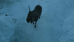 extant_GameOfThrones_3x10-Mhysa_5464