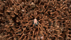 extant_GameOfThrones_3x10-Mhysa_6524