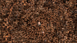 extant_GameOfThrones_3x10-Mhysa_6526