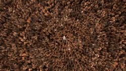 extant_GameOfThrones_3x10-Mhysa_6527