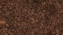 extant_GameOfThrones_3x10-Mhysa_6529