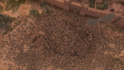 extant_GameOfThrones_3x10-Mhysa_6536