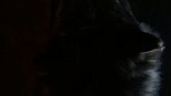 extant_GameOfThrones_4x01-TwoSwords_0027