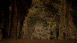 extant_GameOfThrones_4x01-TwoSwords_0839