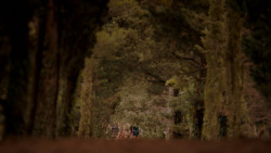 extant_GameOfThrones_4x01-TwoSwords_0845