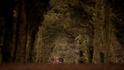 extant_GameOfThrones_4x01-TwoSwords_0846