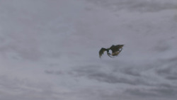 extant_GameOfThrones_4x01-TwoSwords_1960